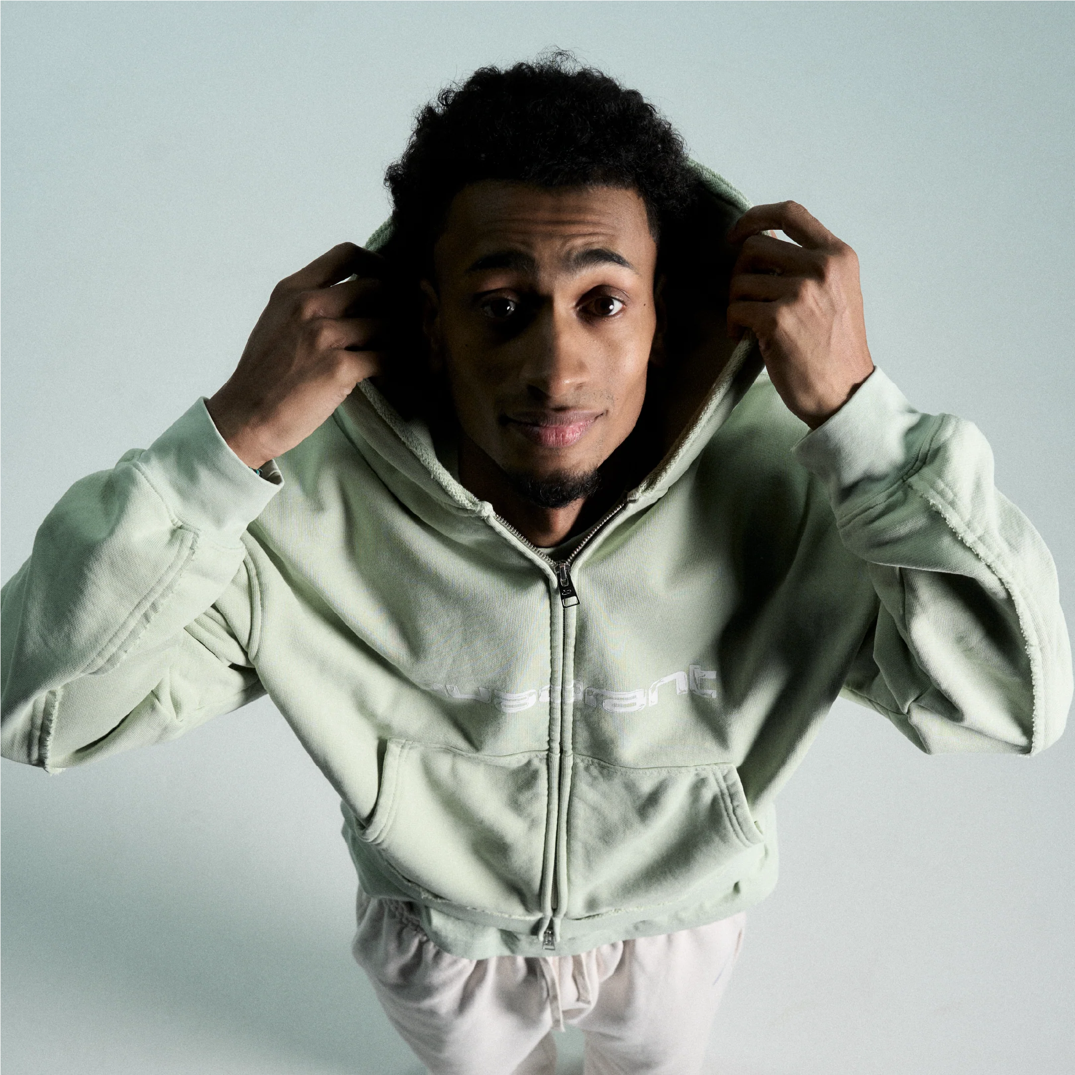 Quadrant Core Zip Hoodie - Sage - Image 4